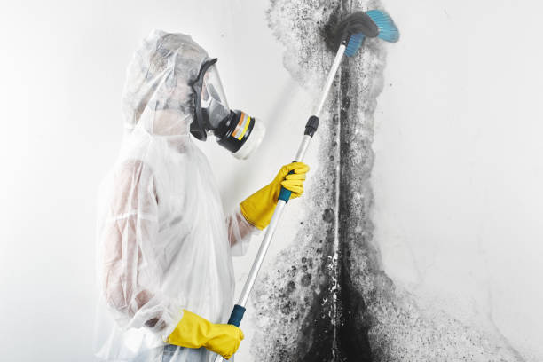 Best Asbestos and Lead Testing During Mold Inspection  in Ocean Acres, NJ