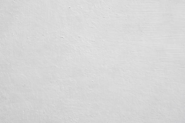Best Basement Mold Removal  in Ocean Acres, NJ